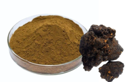 Shilajit Powder